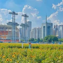 海心沙亚运公园 - 广州市旅游 缩略图 3