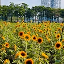 海心沙亚运公园 - 广州市旅游 缩略图 8