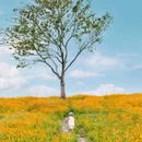 碧云花海·十里水乡景区 - 嘉兴市旅游 缩略图 1