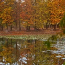 金华万达广场融景湾酒店(古子城夜市步行街店) - 金华市旅游 缩略图 4