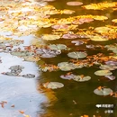 金华万达广场融景湾酒店(古子城夜市步行街店) - 金华市旅游 缩略图 7