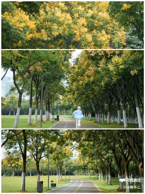 蜀西湖公园 - 合肥市旅游