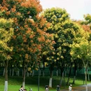 蜀西湖公园 - 合肥市旅游 缩略图 6