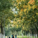 蜀西湖公园 - 合肥市旅游 缩略图 8