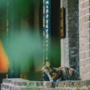 蓬莱阁景区 - 烟台市旅游 缩略图 4