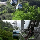 华山景区 - 渭南市旅游 缩略图 7