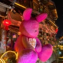 丽江竹逸轩·悦舍悠庭(丽江古城四方街店) - 丽江市旅游 缩略图 1