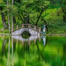 喇叭河风景区 - 雅安市旅游 缩略图 2