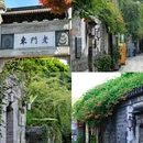 南京夫子庙 - 南京市旅游 缩略图 7