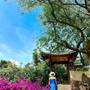 丽江慕云堂观景客栈 - 丽江市旅游 缩略图 4