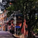 福州五一广场 - 福州市旅游 缩略图 6