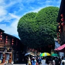 福州五一广场 - 福州市旅游 缩略图 8