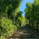 莫干山江南瑶坞旅游度假区 - 湖州市旅游 缩略图 5