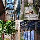 黔阳古城 - 怀化市旅游 缩略图 2