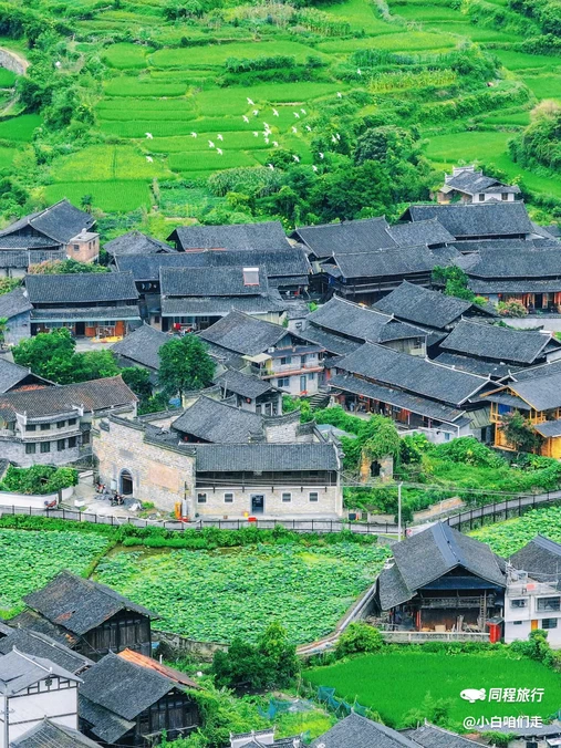 黔阳古城 - 怀化市旅游