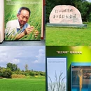 黔阳古城 - 怀化市旅游 缩略图 9