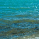 青海湖广场 - 海南藏族自治州旅游 缩略图 2