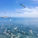 青海湖广场 - 海南藏族自治州旅游 缩略图 4