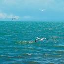 青海湖广场 - 海南藏族自治州旅游 缩略图 6