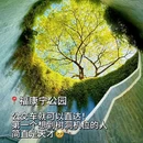 新加坡 - 海外旅游 缩略图 1