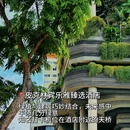 新加坡 - 海外旅游 缩略图 7