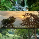 莫干山依山依水·设计师名宿 - 湖州市旅游 缩略图 3