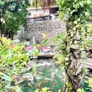 佛山市祖庙博物馆(4A) - 佛山市旅游 缩略图 4