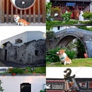 章堰古村 - 上海市旅游 缩略图 1