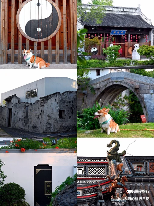 章堰古村 - 上海市旅游