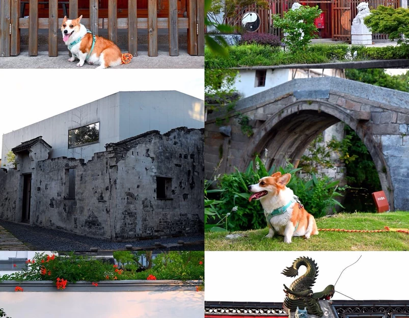 章堰古村 - 上海市旅游 1