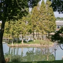 南京青龙山庄酒店 - 南京市旅游 缩略图 5