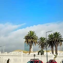卡萨布兰卡 - 摩洛哥旅游 缩略图 6