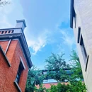 咸安坊 - 武汉市旅游 缩略图 7