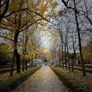 明孝陵景区 - 南京市旅游 缩略图 2