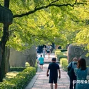 明孝陵景区 - 南京市旅游 缩略图 3