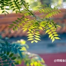 明孝陵景区 - 南京市旅游 缩略图 6