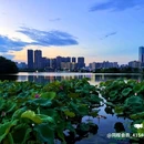 伴山伴水酒店(岳麓山大学城后湖店) - 长沙市旅游 缩略图 7
