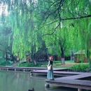 江苏园博园 - 南京市旅游 缩略图 6