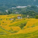 国清寺 - 台州市旅游 缩略图 9