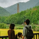 国清寺 - 台州市旅游 缩略图 6