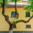 老门东历史街区 - 南京市旅游 缩略图 4