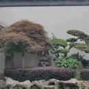 上海南翔老街(云翔寺陈列馆檀园) - 上海市旅游 缩略图 6