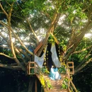 七娘山小牧场 - 深圳市旅游 缩略图 5