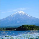 日本 - 海外旅游 缩略图 1