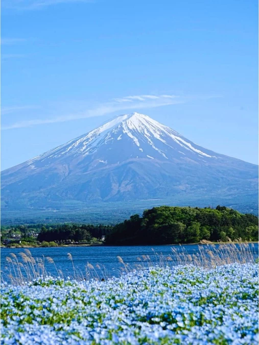 日本 - 海外旅游