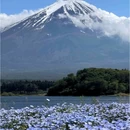 日本 - 海外旅游 缩略图 3