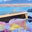 日本 - 海外旅游 缩略图 4