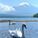 日本 - 海外旅游 缩略图 5