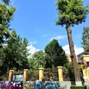 昆明翠湖公园 - 昆明市旅游 缩略图 6