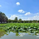 昆明翠湖公园 - 昆明市旅游 缩略图 7